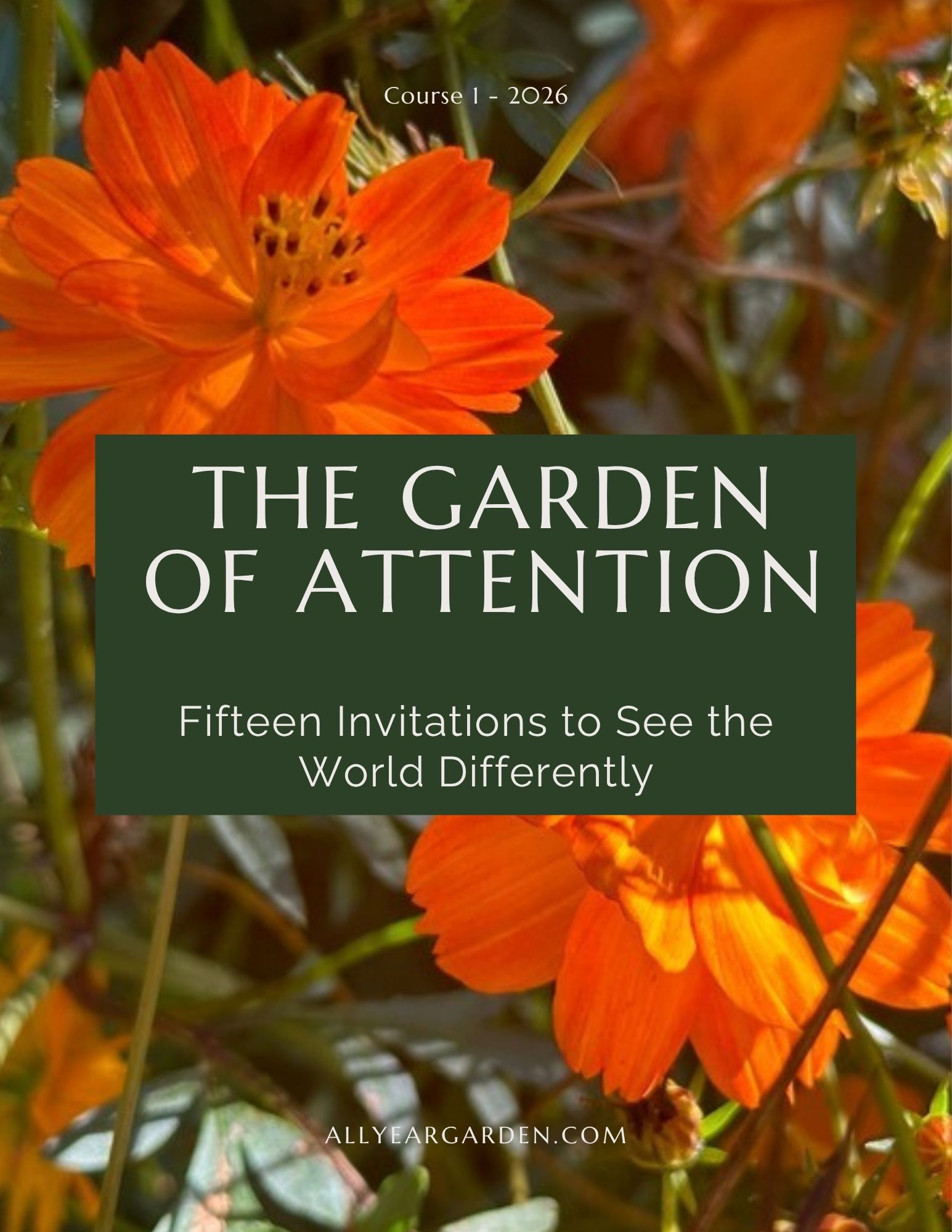 The Garden of Attention