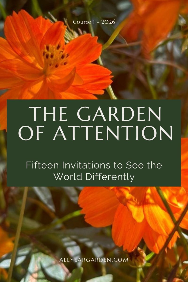 All-Year-garden1.pdf - 1